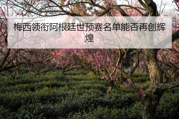 梅西领衔阿根廷世预赛名单能否再创辉煌